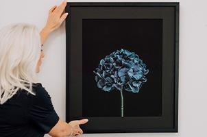 Kirsten Ford hanging picture