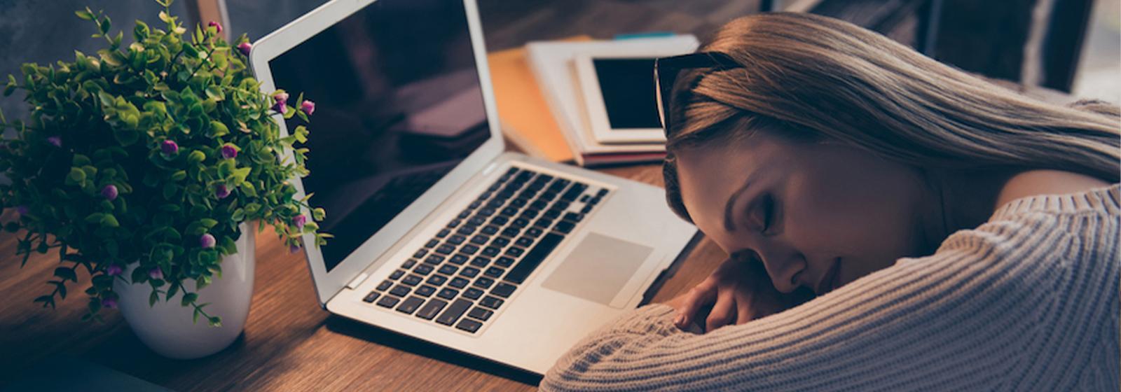 Sleep And Work Sealy New Zealand